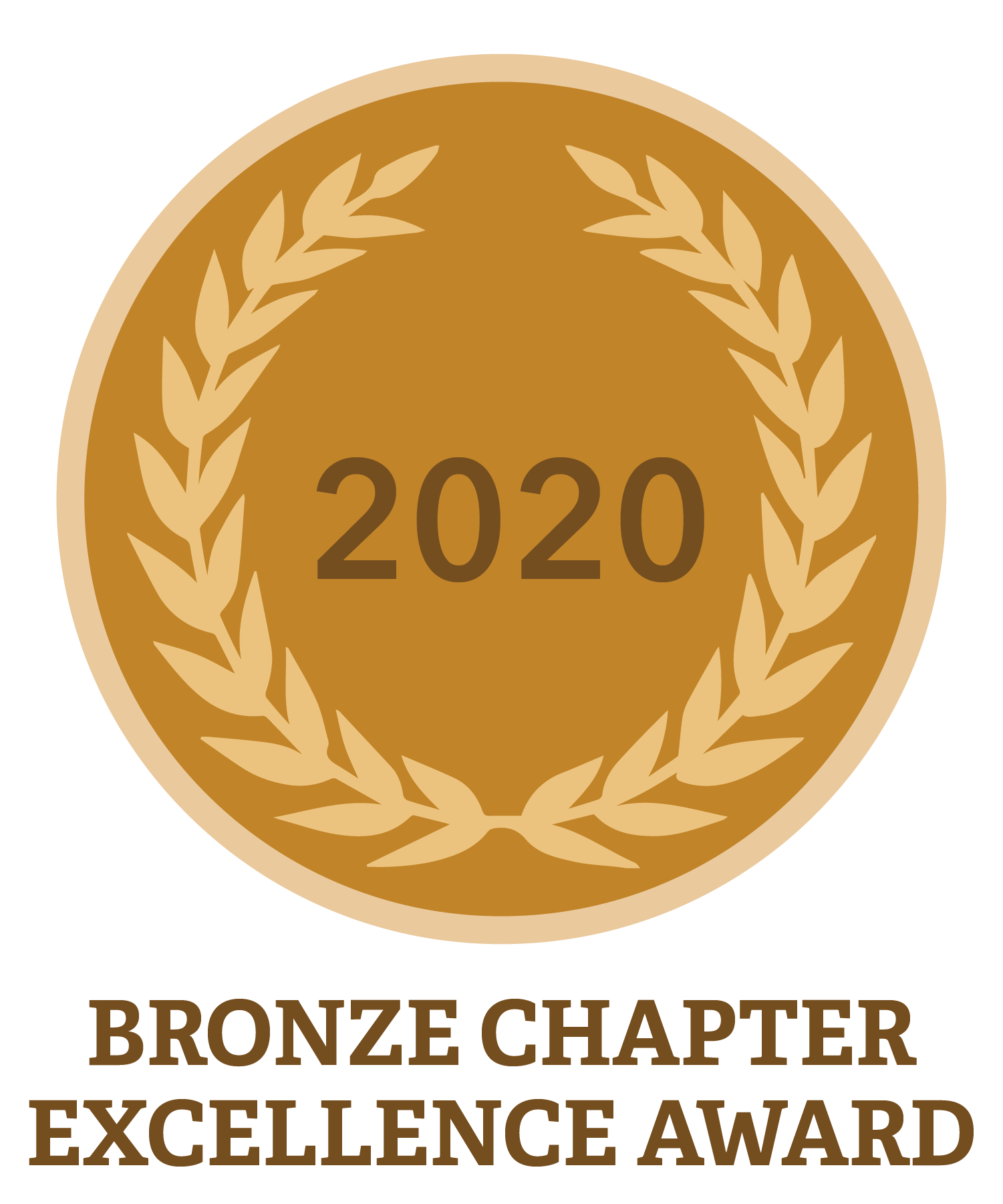Bronze Chapter Excellence Award
